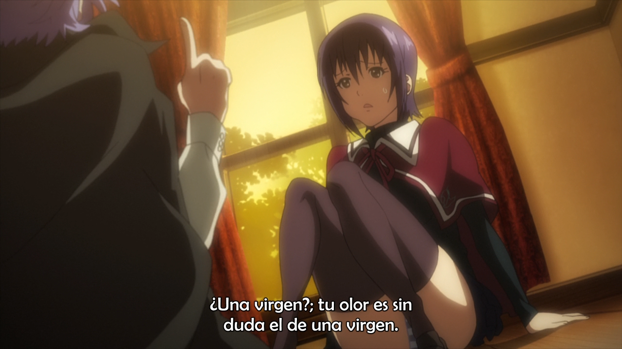 Holy Knight (Fansubber)